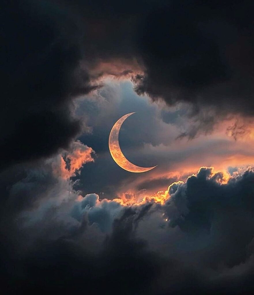 Moon PFP