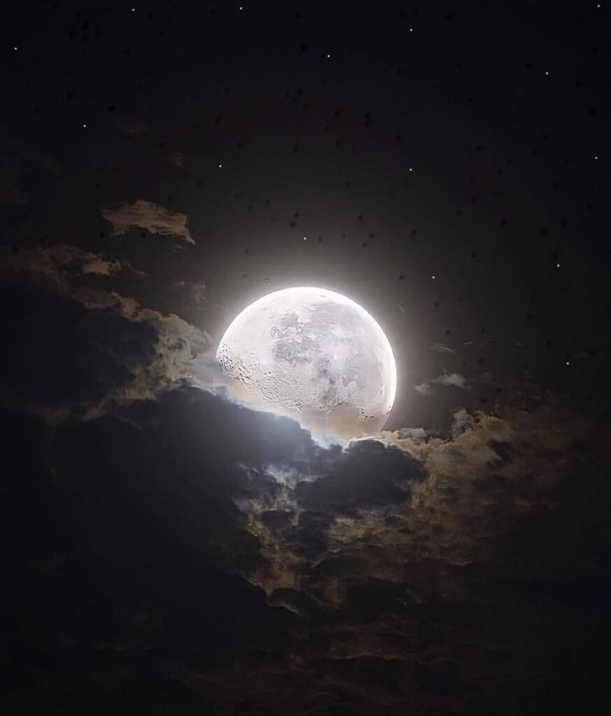 Moon PFP