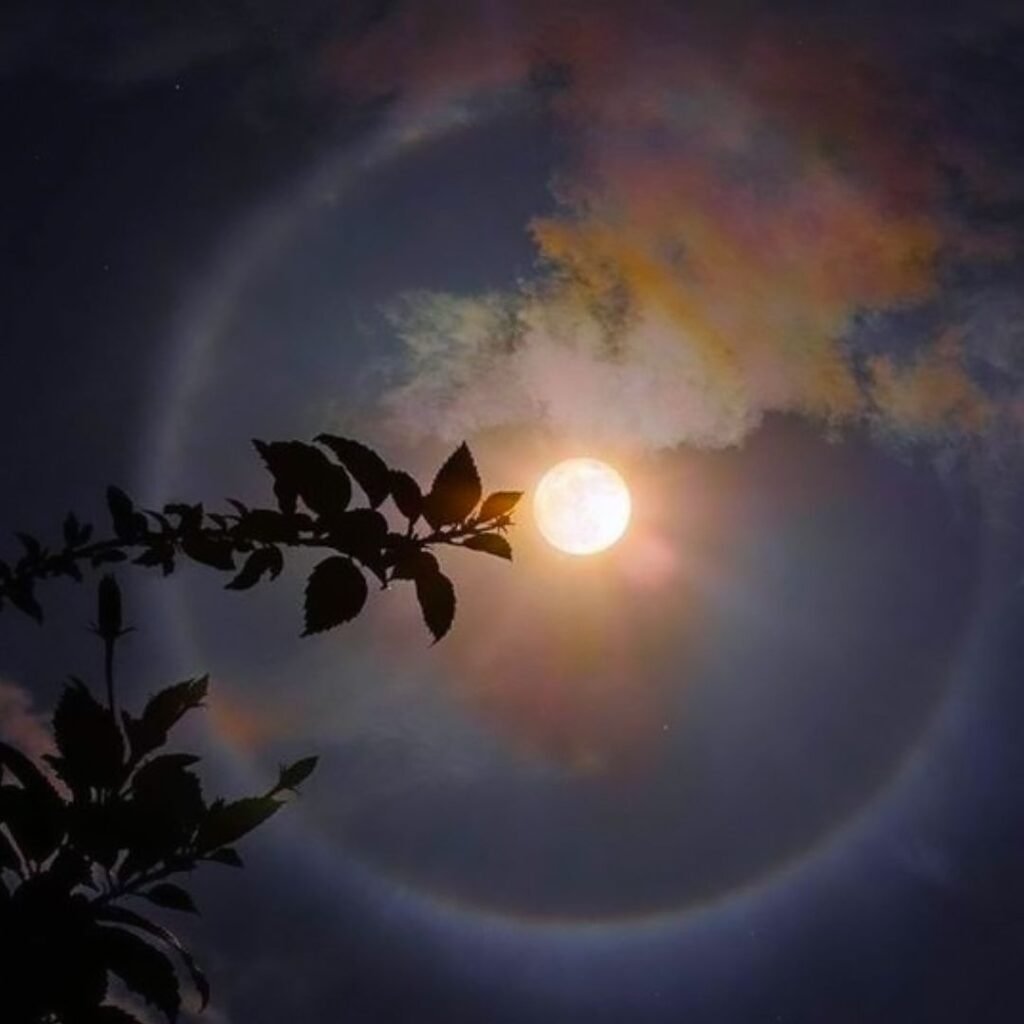 Moon PFP