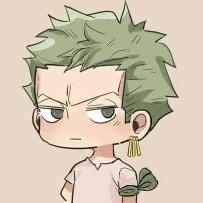 Cute Zoro PFP