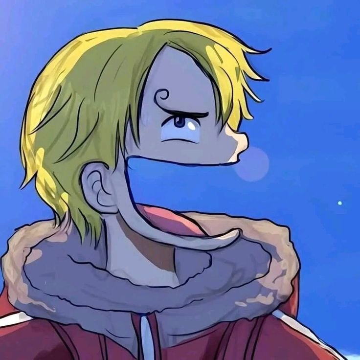 Funny Zoro PFP