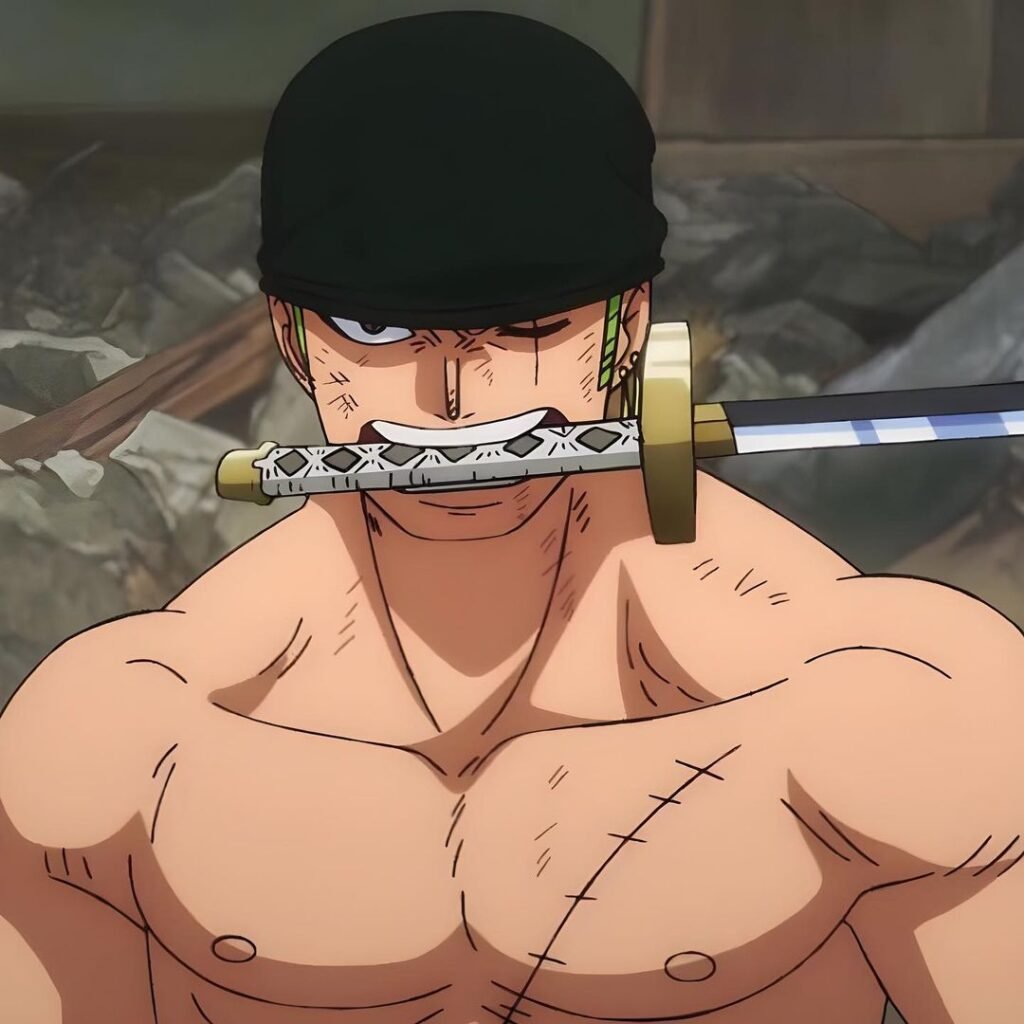 Cool Zoro PFP