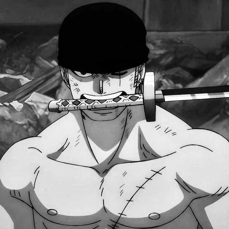 Dark Zoro PFP